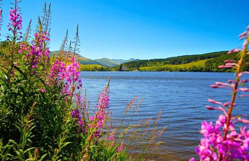 Perce-neige - Foto 16