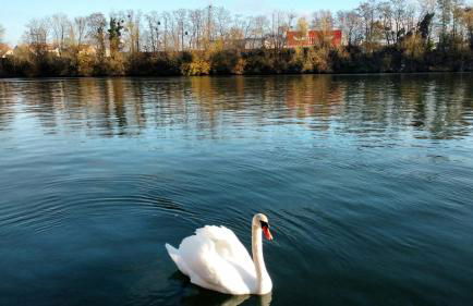 Private 1 bedroom flat with Garden Access in Le Pecq - Foto 15