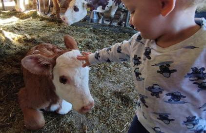 Ferienhof Broger FeWo Bergblickle mit Pool - Foto 36