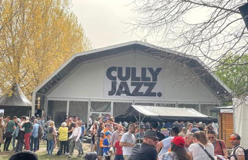 Une escale face au lac Léman - Photo 16