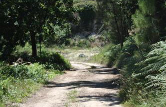 Quinta Vale do Nox - Foto 20