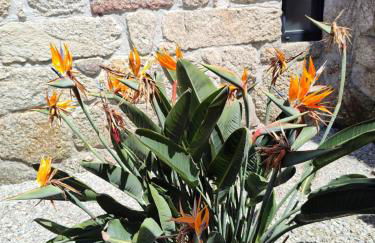 Casas do Arrabalde - Foto 29