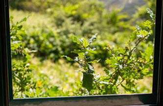 Horizontes Serranos - Foto 62