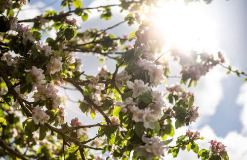 Strandperle Appartements - Foto 23