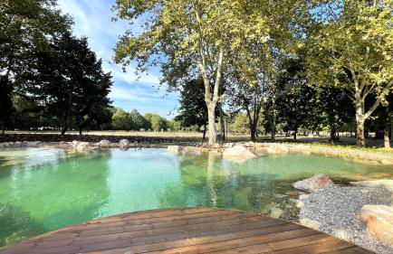 Quinta do Areal - Foto 5