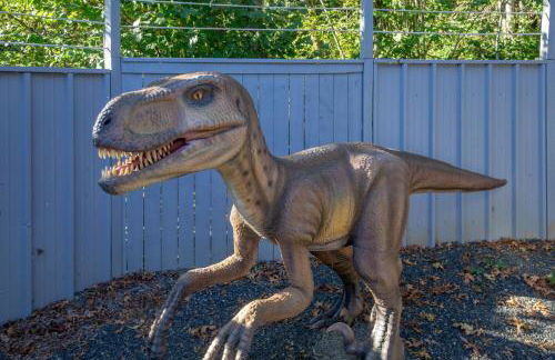 Spring Break Promos - LifeSize Dinos, 4BR, HotTub - Foto 44