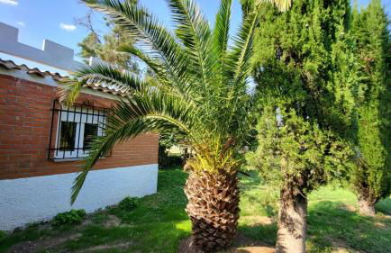 Hostal Restaurante San Martin de Montalban - Foto 73