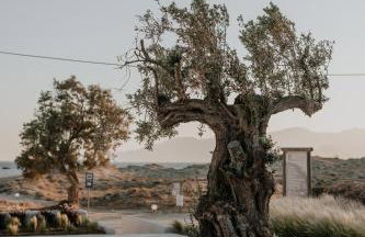 Onym Curated Villas - Photo 102