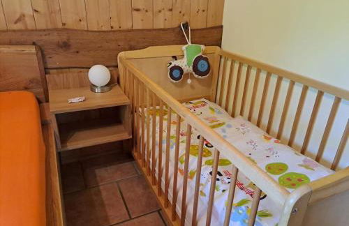 Bio-Erlebnisbauernhof Doll - Foto 45