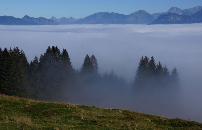 Bader Modern Retreat - Foto 20