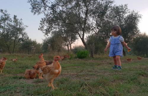 Fattoria di Maiano - Foto 82