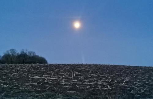 Rügen - Promoisel - Auszeit am Kreidesee - Foto 23
