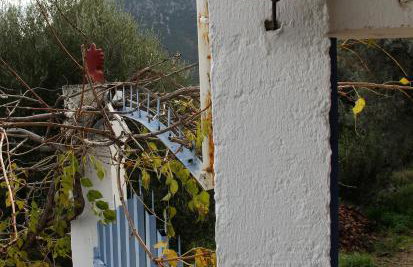 Villa Krassi - Foto 35