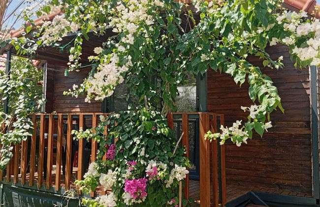 Riviera Bungalow Evleri Demre - Photo 43