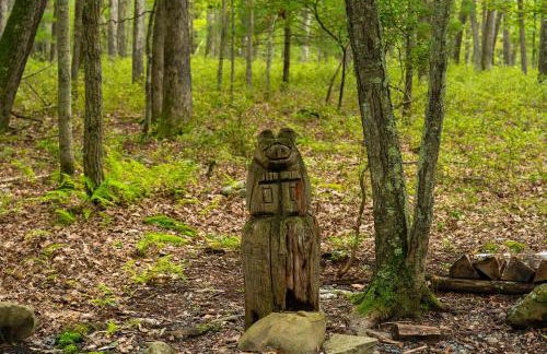 Perfect Couples Cabin Fireplace Firepit & Wine Nearby - Foto 28