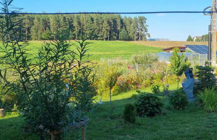 Agrosturystyka Leśna 21 - Foto 31