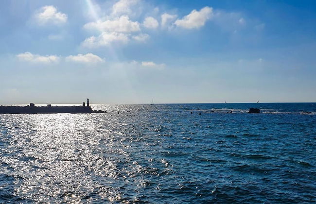 Alysse Eilat in Tel Aviv-yafo - Foto 23