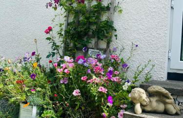 "Balmoral View" - Foto 20