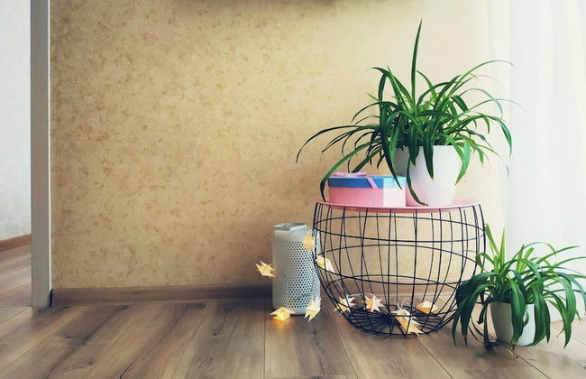 MalinaApt Pink Olive - Foto 19