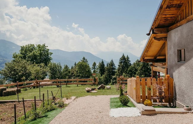 Maso Del Fieno - Photo 28