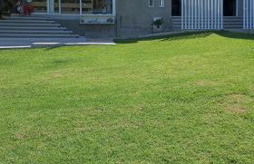 PRINCESS OF BLUE EAGLES RETREAT - Foto 71