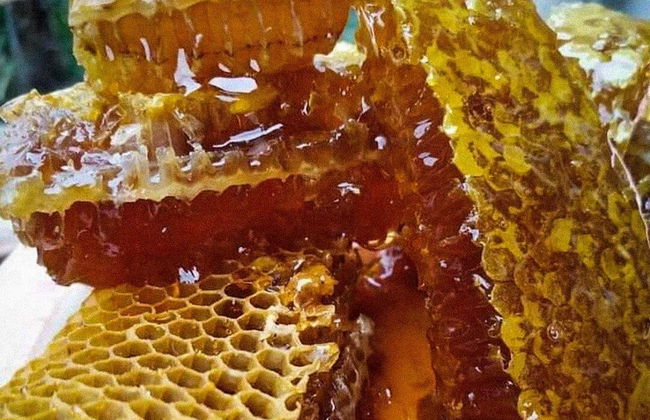 Destino Hotel & Hot Spring - Foto 44