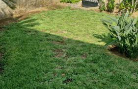 Villa del Cavaliere - Foto 28