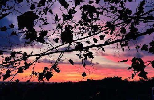 la tana del geco - Foto 56