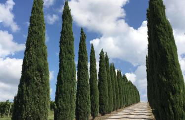 La casa di Elvira - Foto 42