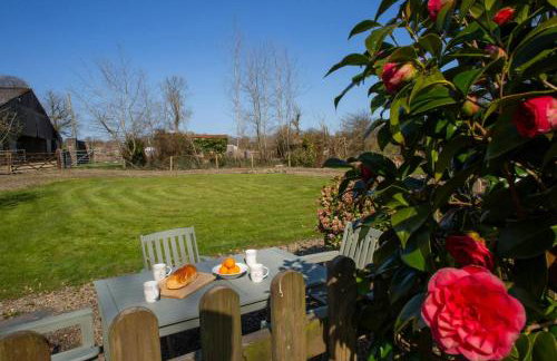 Bluebell Cottage Aberporth - Foto 23