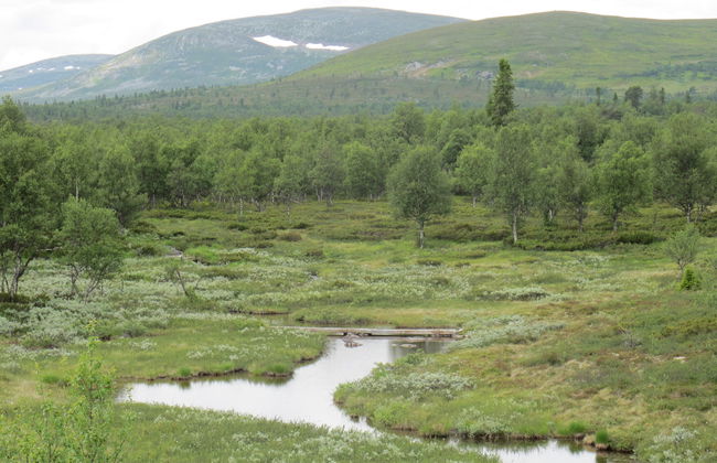 Storsätern Dyllen - Foto 12