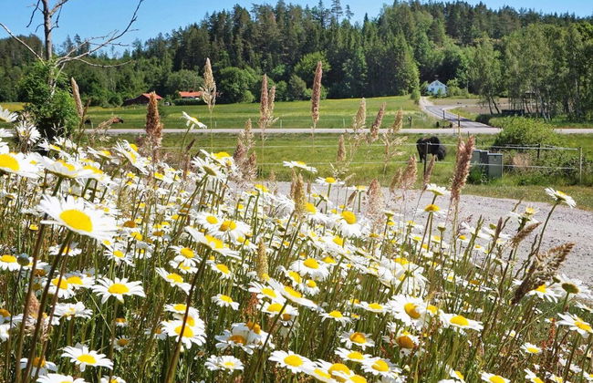 4 Person Holiday Home in Ucklum - Foto 21