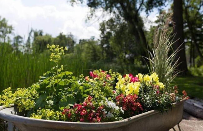 Das Haus Am See - Photo 35