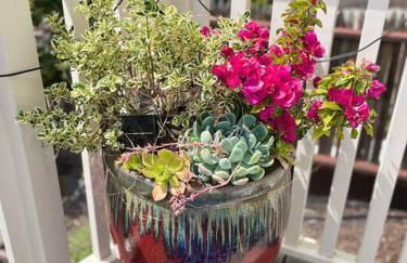 Gorgeous 3-bdrm home, walk to town and beach - Photo 38