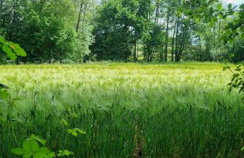 La Dragonne, centre de Bellême, maison entièrement équipée, jardin, vue forêt - Foto 39