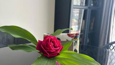 Maison cosy climatisée avec jardin - Foto 3