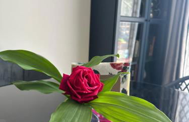 Maison cosy climatisée avec jardin - Foto 3