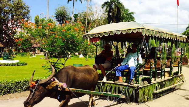 Escapade à la campagne (Auparavant Villa Escodero) - Photo 5