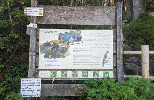 Là-haut au Lacblanc, 3 pièces, 2 chambres, balcon, cave - Foto 16