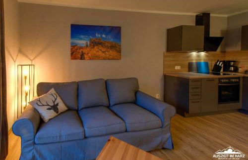 Auszeit-im-Harz Haus 5 Wohnung 12 - Foto 8