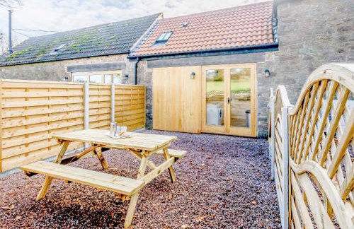 Pipistrelle - Uk30758 - Photo 18