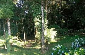 Casa Gramado Família - Foto 6