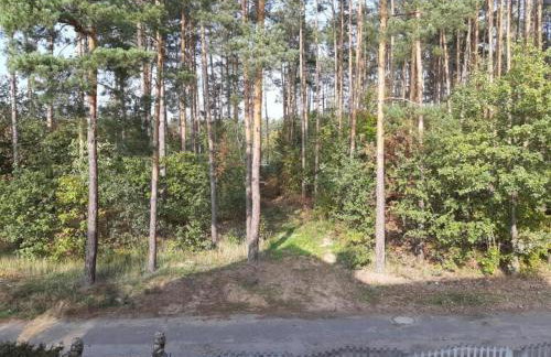 A Wooden, Eco-friendly House by the Goszcza Lake. Living Room, 2 Bedrooms - Foto 119