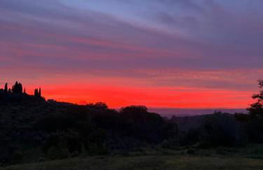 Villa con piscina vicino Roma - Foto 58