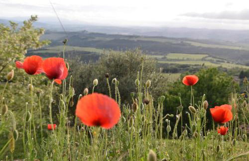Casa Vacanze Porta Vecchia - Foto 12
