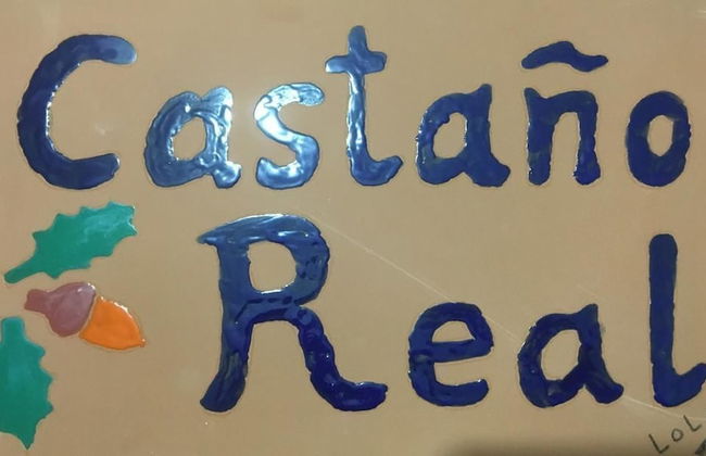 Castaño Real - Photo 21