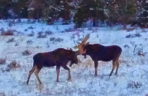 Rocky Mountain Panorama Cabin - Foto 25