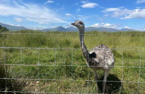 Lurach House - Foto 67