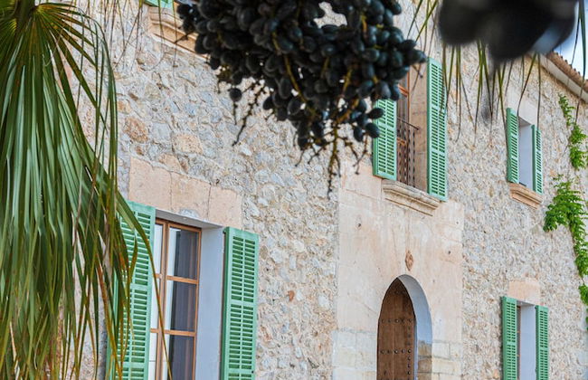 Agroturisme Subies - Photo 22