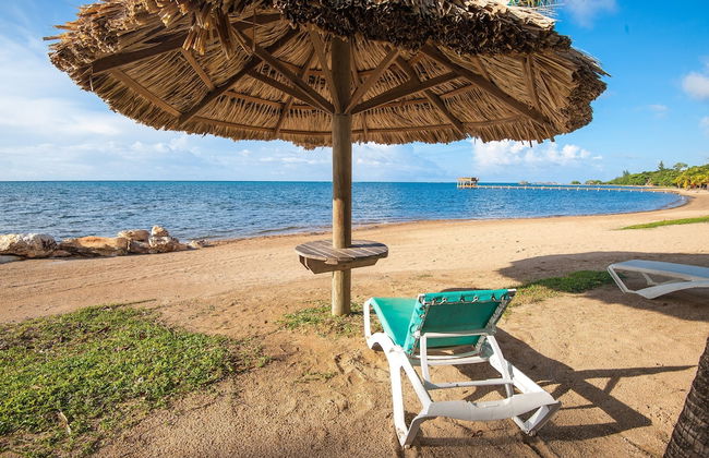 Lawson Rock - Parrotfish 106 - Foto 26